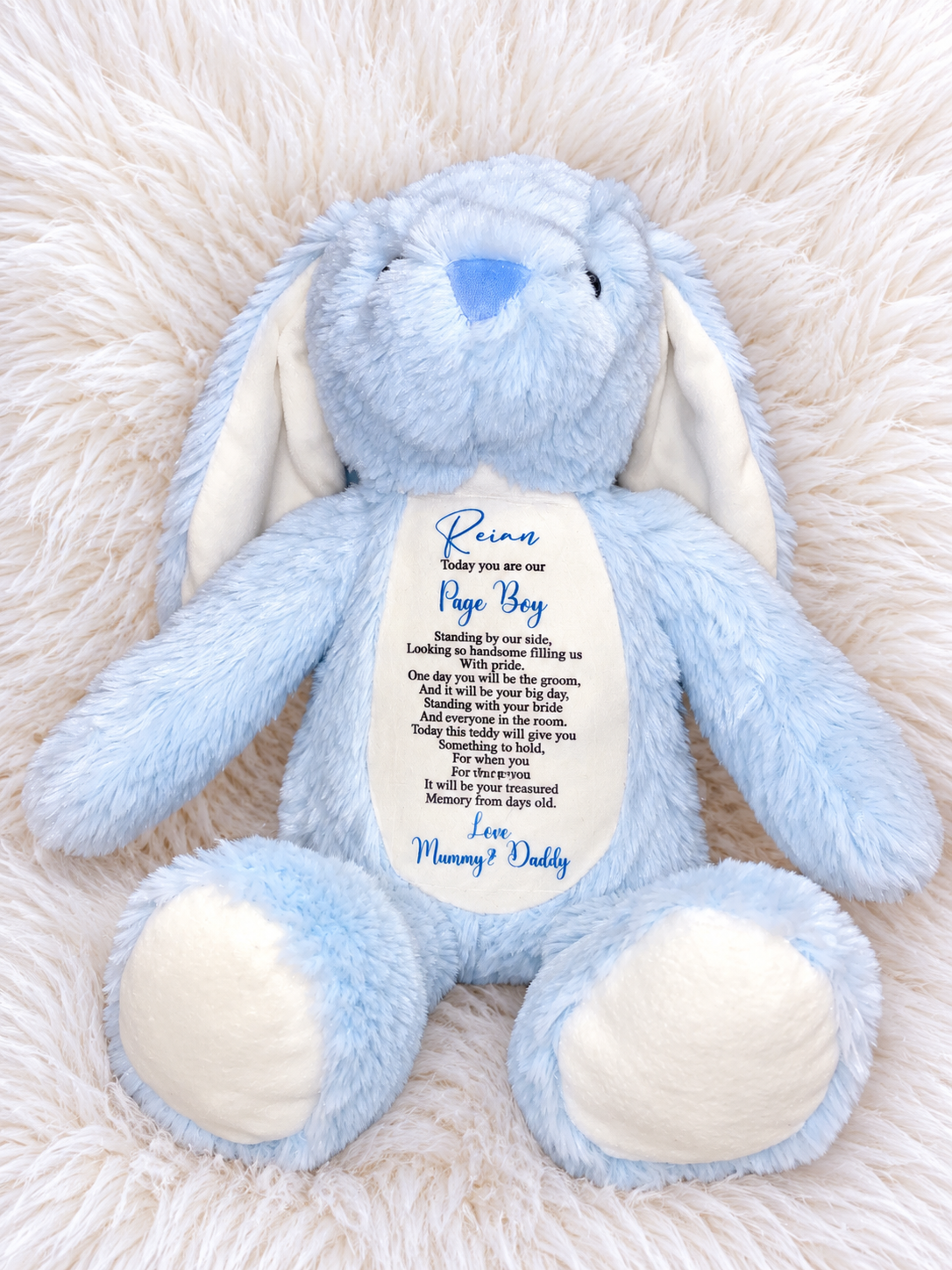 Personalised Page Boy Bunny, Page Boy Gift, Wedding Keepsake, Personalised Blue Rabbit, Page Boy Proposal Gift, Wedding Day Gift