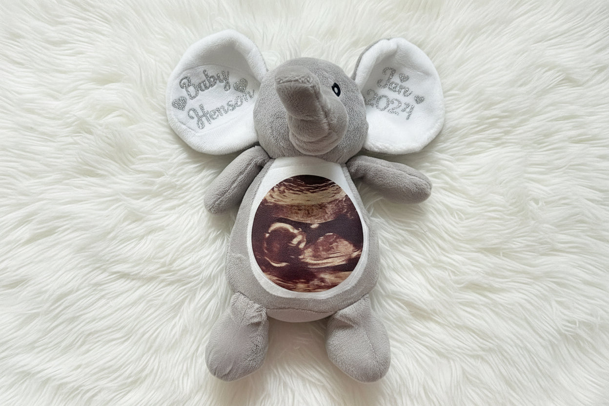Pregnancy announcement/scan photo teddie