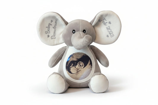 Pregnancy announcement/scan photo teddie