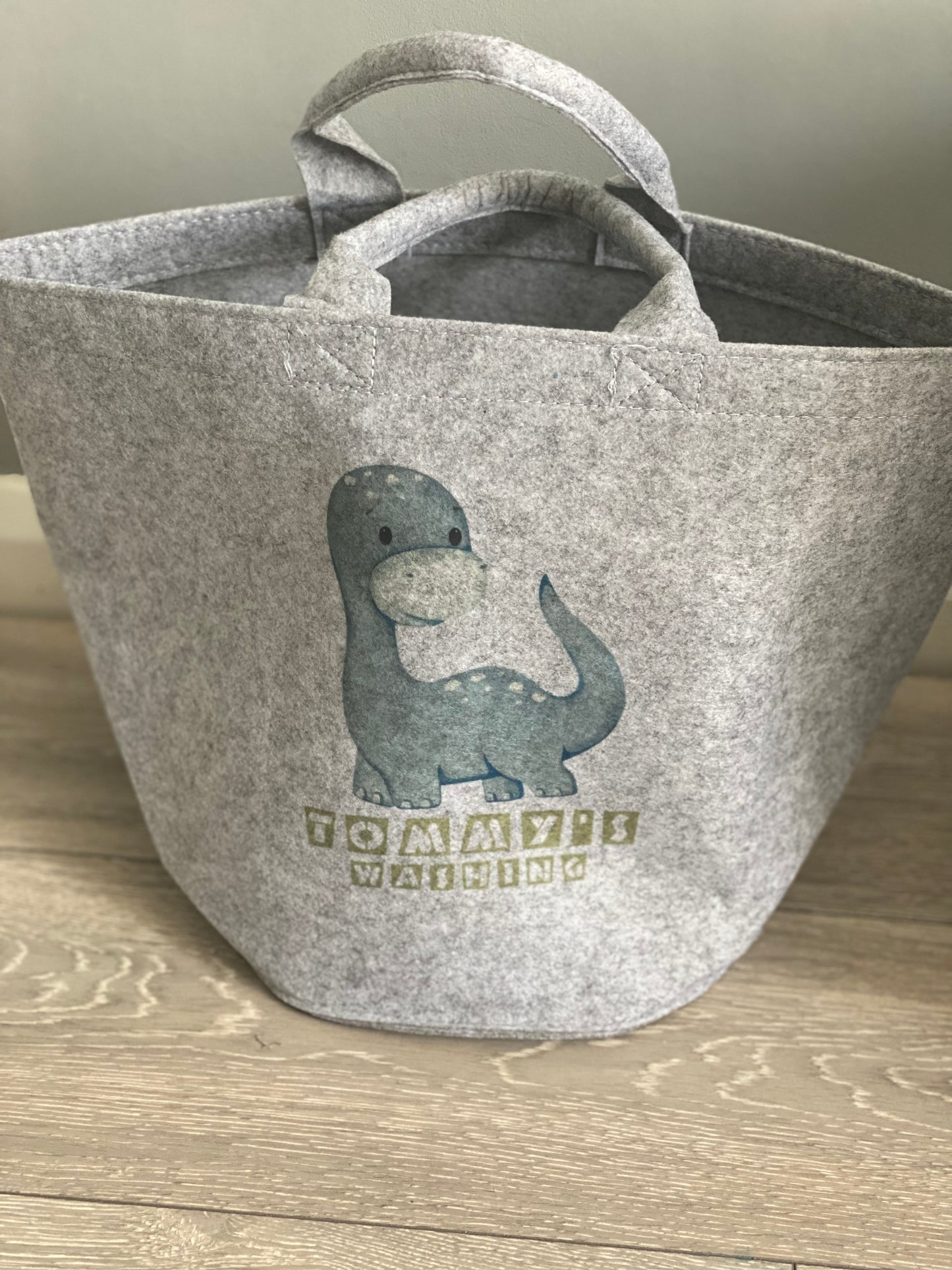 Dinosaur Storage Baskets