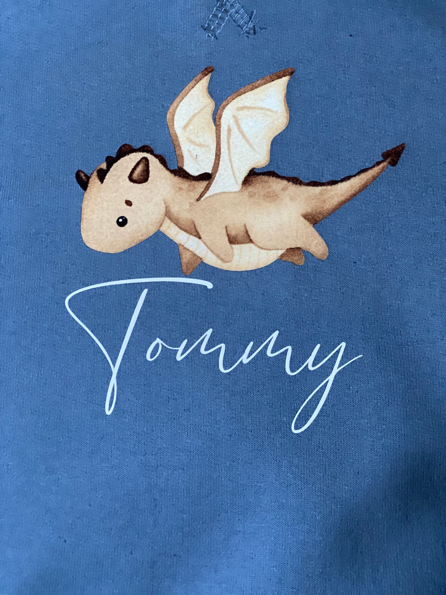 Personalised Children’s Dragon Tracksuit